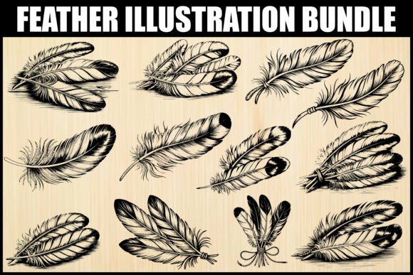 Hand-Drawn Feather Clipart Bundle: Graphics and Illustrations