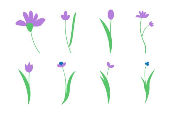 Minimalist Floral Illustrations for Web Graphics
