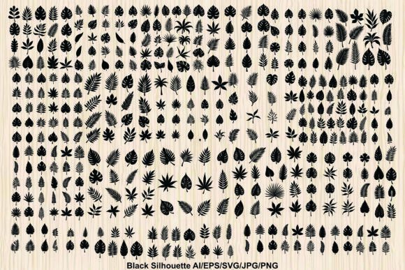 Review: Silhouette Monstera Graphics & Illustrations